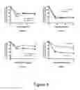 Fig. 05 - HER2/neu-specific antibodies and methods of using same