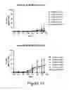 Fig. 09 - HER2/neu-specific antibodies and methods of using same