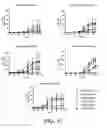 Fig. 10 - HER2/neu-specific antibodies and methods of using same