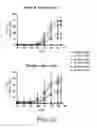 Fig. 11 - HER2/neu-specific antibodies and methods of using same