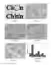 Fig. 12 - COMPOSITIONS AND STRUCTURES INCLUDING NONAGGREGATED STABILIZED CHARGED POLYSACCHARIDE NANOFIBERS, METHODS OF MAKING NONAGGREGATED STABILIZED CHARGED POLYSACCHARIDE NANOFIBERS, AND METHOD OF MAKING STRUCTURES