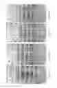 Fig. 27 - COMPOSITIONS AND STRUCTURES INCLUDING NONAGGREGATED STABILIZED CHARGED POLYSACCHARIDE NANOFIBERS, METHODS OF MAKING NONAGGREGATED STABILIZED CHARGED POLYSACCHARIDE NANOFIBERS, AND METHOD OF MAKING STRUCTURES
