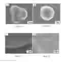 Fig. 31 - COMPOSITIONS AND STRUCTURES INCLUDING NONAGGREGATED STABILIZED CHARGED POLYSACCHARIDE NANOFIBERS, METHODS OF MAKING NONAGGREGATED STABILIZED CHARGED POLYSACCHARIDE NANOFIBERS, AND METHOD OF MAKING STRUCTURES
