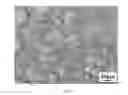 Fig. 33 - COMPOSITIONS AND STRUCTURES INCLUDING NONAGGREGATED STABILIZED CHARGED POLYSACCHARIDE NANOFIBERS, METHODS OF MAKING NONAGGREGATED STABILIZED CHARGED POLYSACCHARIDE NANOFIBERS, AND METHOD OF MAKING STRUCTURES