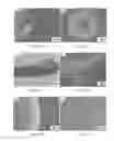 Fig. 34 - COMPOSITIONS AND STRUCTURES INCLUDING NONAGGREGATED STABILIZED CHARGED POLYSACCHARIDE NANOFIBERS, METHODS OF MAKING NONAGGREGATED STABILIZED CHARGED POLYSACCHARIDE NANOFIBERS, AND METHOD OF MAKING STRUCTURES