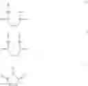 Fig. 12 - AMPHIPHILIC POLYMERIC MATERIAL