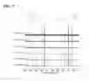 Fig. 06 - Hyperbranched amino acid-based poly(ester urea)s for regenerative medicine and drug delivery