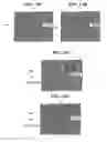 Fig. 13 - Hyperbranched amino acid-based poly(ester urea)s for regenerative medicine and drug delivery