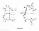 Fig. 07 - SILICONE CO-POLYMERS AND METHODS OF USE THEREOF TO MODIFY THE SURFACE OF SILICONE ELASTOMERS BY PHYSICAL ADSORPTION