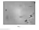 Fig. 07 - THERMOFORMABLE POLYLACTIC ACID