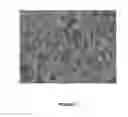 Fig. 02 - Polystyrene and polylactic acid blends