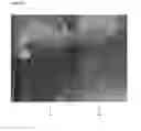 Fig. 08 - Antifogging Molecular Films and Methods of Producing Same
