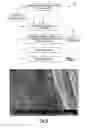 Fig. 02 - Colorless varnish for digital printing