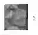 Fig. 18 - Asphalt additive compositions and methods of making and using thereof