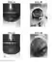 Fig. 04 - COMPOSITIONS USEFUL FOR OIL EXTRACTION