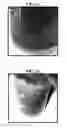 Fig. 07 - COMPOSITIONS USEFUL FOR OIL EXTRACTION