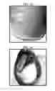 Fig. 08 - COMPOSITIONS USEFUL FOR OIL EXTRACTION
