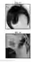 Fig. 10 - COMPOSITIONS USEFUL FOR OIL EXTRACTION