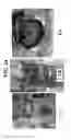 Fig. 16 - COMPOSITIONS USEFUL FOR OIL EXTRACTION