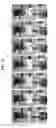 Fig. 18 - COMPOSITIONS USEFUL FOR OIL EXTRACTION
