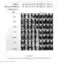 Fig. 02 - Dilutable cleaning compositions and methods for use