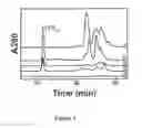 Fig. 02 - Barley with low levels of hordeins