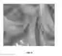 Fig. 04 - BIOLOGICAL LOAD FOR BIOREACTOR