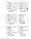 Fig. 16 - PHOTOBIOREACTOR SYSTEM AND METHOD