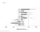 Fig. 03 - METHOD FOR OBTAINING IMMUNO-SUPPRESSIVE DENDRITIC CELLS