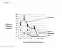 Fig. 05 - METHOD FOR OBTAINING IMMUNO-SUPPRESSIVE DENDRITIC CELLS