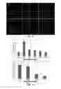 Fig. 03 - Reprogramming Mesenchymal Stromal Cells Into Hematopoietic Cells
