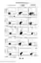 Fig. 17 - Reprogramming Mesenchymal Stromal Cells Into Hematopoietic Cells