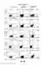 Fig. 18 - Reprogramming Mesenchymal Stromal Cells Into Hematopoietic Cells