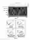 Fig. 20 - Reprogramming Mesenchymal Stromal Cells Into Hematopoietic Cells