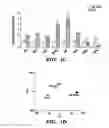 Fig. 03 - Methods for maturing cardiomyocytes and uses thereof