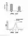 Fig. 28 - Methods for maturing cardiomyocytes and uses thereof