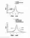 Fig. 32 - Methods for maturing cardiomyocytes and uses thereof