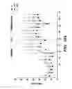 Fig. 33 - Methods for maturing cardiomyocytes and uses thereof