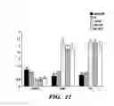 Fig. 35 - Methods for maturing cardiomyocytes and uses thereof