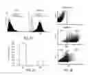 Fig. 03 - Enhanced differentiation of mesenchymal stem cells