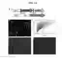 Fig. 16 - Cell populations, methods of transdifferentiation and methods of use thereof