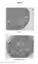 Fig. 04 - METHODS FOR IN VITRO MATURATION OF OVARIAN FOLLICLES