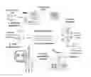 Fig. 01 - Screening of nucleic acid agents via particle display