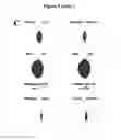 Fig. 03 - NUCLEOTIDE SEQUENCE MOTIFS DIRECTING NUCLEIC ACID LOCATION TO EXTRACELLULAR VESICLES