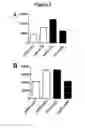 Fig. 04 - NUCLEOTIDE SEQUENCE MOTIFS DIRECTING NUCLEIC ACID LOCATION TO EXTRACELLULAR VESICLES