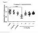 Fig. 12 - OLIGONUCLEOTIDE MODULATORS OF B-CELL CLL/LYMPHOMA 11A (BCL11A) AND USES THEREOF