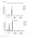 Fig. 23 - OLIGONUCLEOTIDE MODULATORS OF B-CELL CLL/LYMPHOMA 11A (BCL11A) AND USES THEREOF