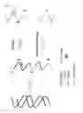 Fig. 03 - Double-stranded antisense nucleic acid with exon-skipping effect