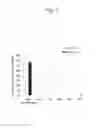 Fig. 06 - GENE ENCODING ENZYME THAT OXIDIZES POSITION 16 OF STEROID SKELETON AND PLANT IN WHICH EXPRESSION LEVEL OF THE GENE IS LOWERED