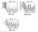 Fig. 06 - FREEZE-DRIED POLYELECTROLYTE COMPLEXES THAT MAINTAIN SIZE AND BIOLOGICAL ACTIVITY